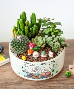 Hoa tình yêu 10052