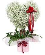 Bình hoa tươi 14428