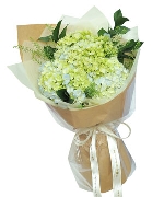 Bó hoa tươi 14957