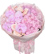 Bộ sưu tập 10677