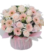 Bộ sưu tập 11628