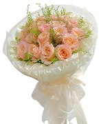 Bộ sưu tập 15243