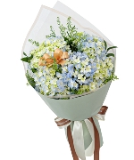 Bộ sưu tập 15296