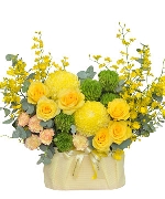 Bộ sưu tập 15704