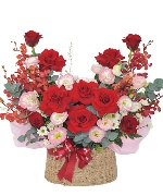 Bộ sưu tập 15966