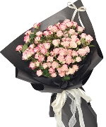 Bộ sưu tập 4777