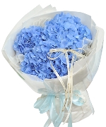 Bộ sưu tập 8032