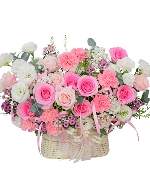 Hoa Cát Tường 12909