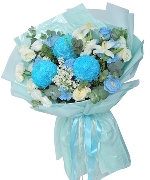 Hoa Cát Tường 16061