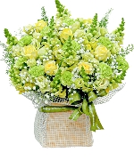 Hoa Cát Tường 8038