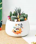 Cây để bàn 11091