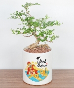 Hoa yêu thương 11154