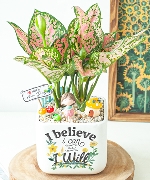 Hoa yêu thương 11871