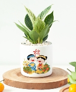 Cây để bàn 13544