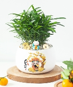 Hoa yêu thương 13562