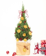 Cây để bàn 14826