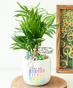 Cây để bàn 15120