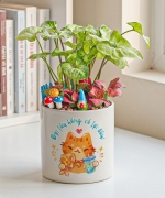 Cây để bàn 8197