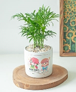 Cây để bàn 8205