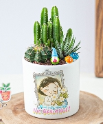 Cây để bàn 8931