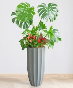 Chậu cây thông minh 9094