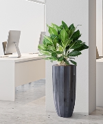 Chậu cây thông minh 9417