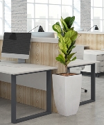 Chậu cây thông minh 9546