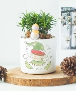 Chậu cây giáng sinh 14018