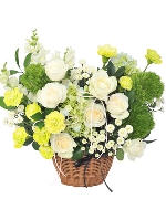 Giỏ hoa tươi 14183