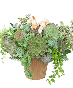 Hoa yêu thương 14390