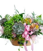 Giỏ hoa tươi 15150