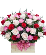 Cẩm chướng 3197