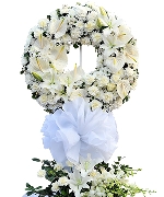 Cẩm chướng 5405