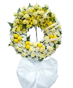 Cẩm chướng 8390