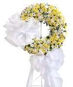 Hoa chia buồn 11852