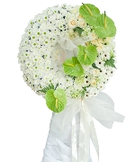 Hoa chia buồn 12488