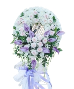 Hoa yêu thương 13101