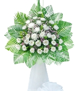 Hoa chia buồn 13144