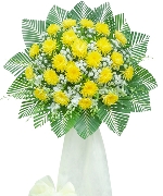 Hoa chia buồn 13146