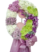 Hoa yêu thương 13318