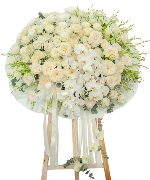 Hoa chia buồn 13535