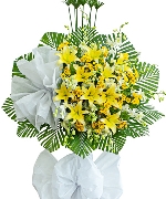 Hoa yêu thương 14993