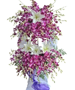 Hoa chia buồn 15465