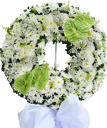 Hoa chia buồn 2123