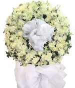 Hoa chia buồn 3113