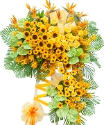 Hoa chúc mừng 13105