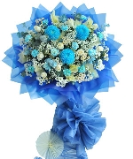 Hoa chúc mừng 13107