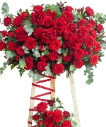 Hoa yêu thương 13399