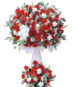Hoa chúc mừng 14346