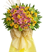 Hoa chúc mừng 14348